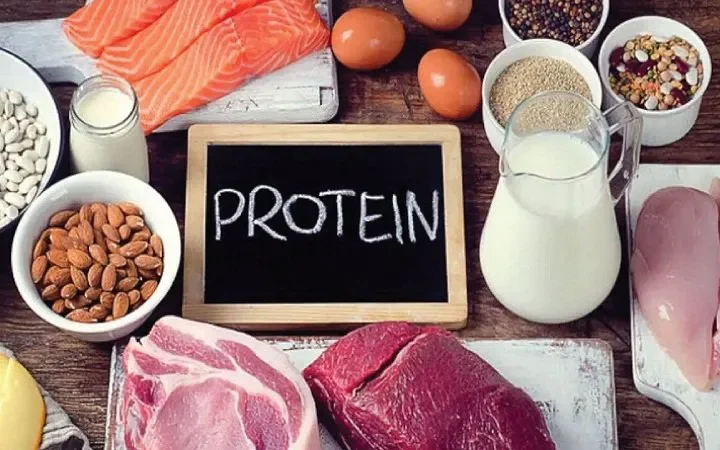 Protein (Chất đạm): "Nguyên liệu" xây dựng cơ bắp và mô