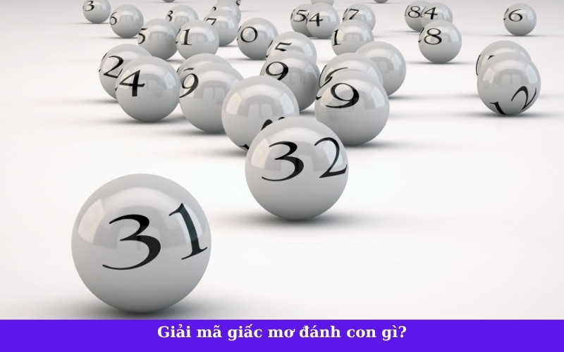 Giải mã giấc mơ đánh con gì