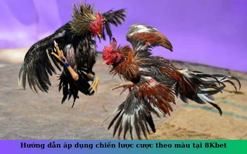 Hướng dẫn áp dụng chiến lược cược theo màu tại 8Kbet