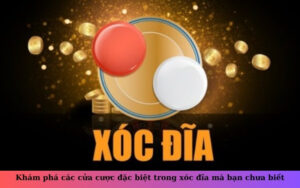 Khám phá các cửa cược đặc biệt trong xóc đĩa mà bạn chưa biết